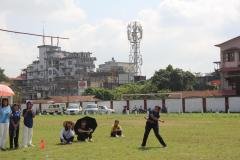 DMHSS-Sports-week-2025-69